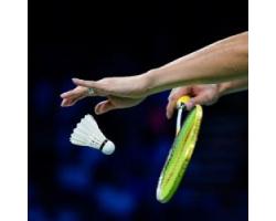 Icon-Badminton-Badminton-250x250